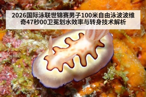 2026国际泳联世锦赛男子100米自由泳波波维奇47秒00卫冕划水效率与转身技术解析